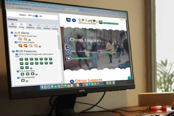 data entry accesibilidad análisis de sitios web